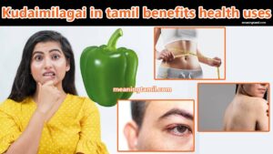 Kudaimilagai in tamil benefits health uses